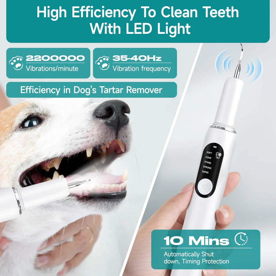 Snavya Pet Dental Ultrasonic Tooth Cleaner – Electric Plaque Remover & Tartar Scaler for Dogs and Cats | Curvy Moon T6