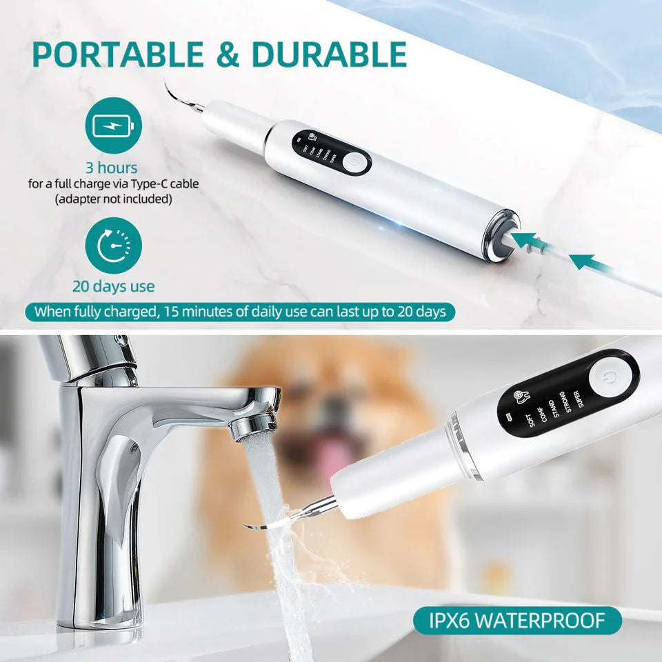Snavya Pet Dental Ultrasonic Tooth Cleaner – Electric Plaque Remover & Tartar Scaler for Dogs and Cats | Curvy Moon T6