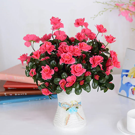 UV Resistant Red Azalea
