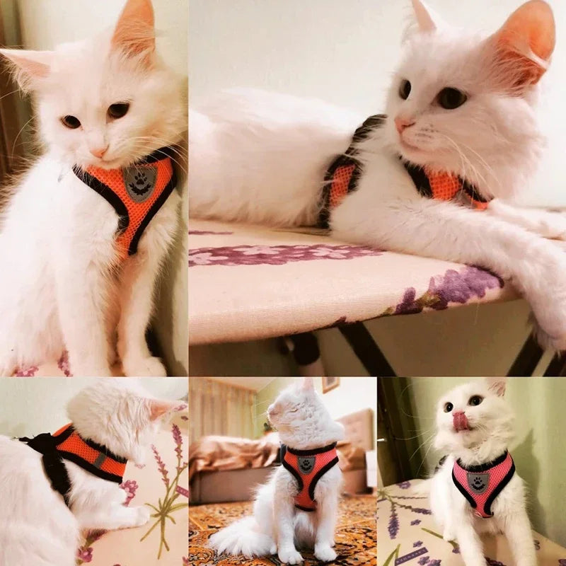 Adjustable Cat Dog Harness Vest
