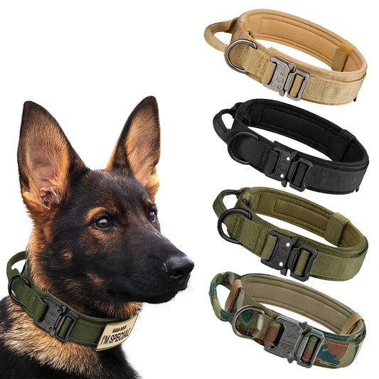 Tactical Nylon Dog Collar
